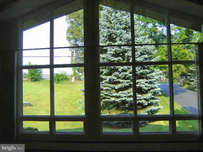 326 Old Joppa Road Fallston, MD 21047 - Photo 6 of 30 Gorgeous View from Windows in Living Room