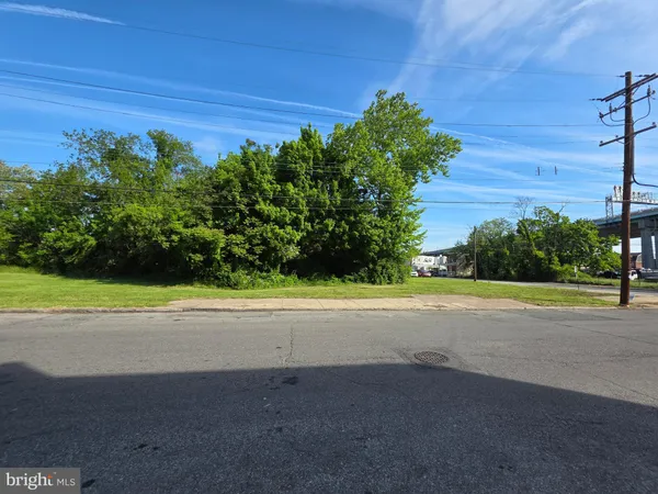 a view of a yard