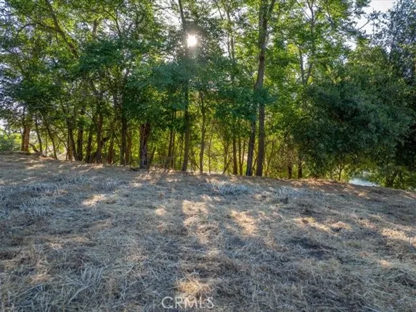 a view of backyard with green space