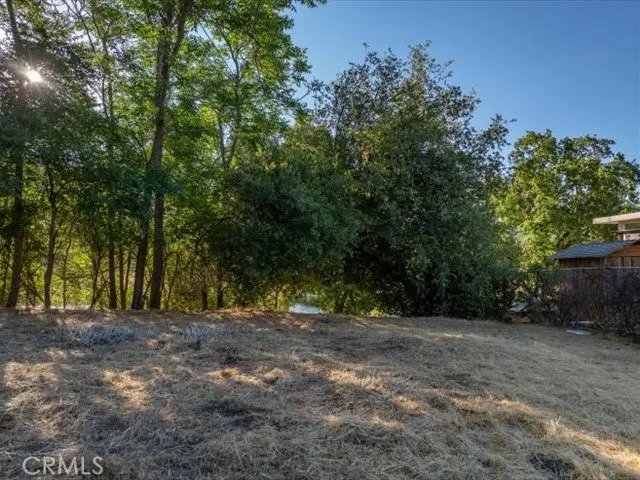 a view of dirt field with trees in the background