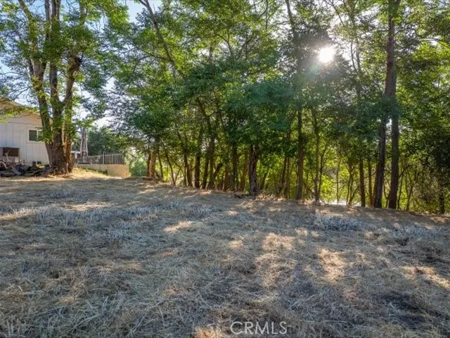 a view of a road with a yard