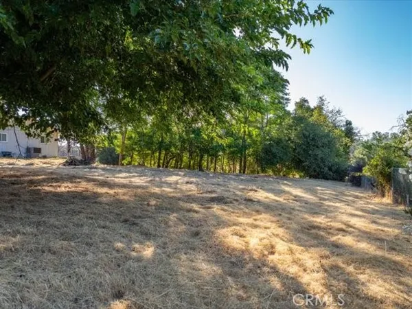 a view of a tree is standing in front of a house