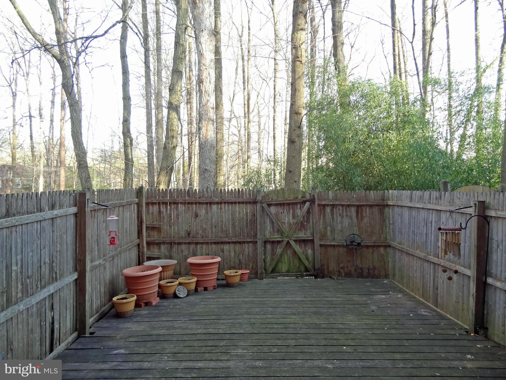 5925 Kingsford Road Springfield, VA 22152 - Photo 15 of 19 Back Yard-deep woods beyond!