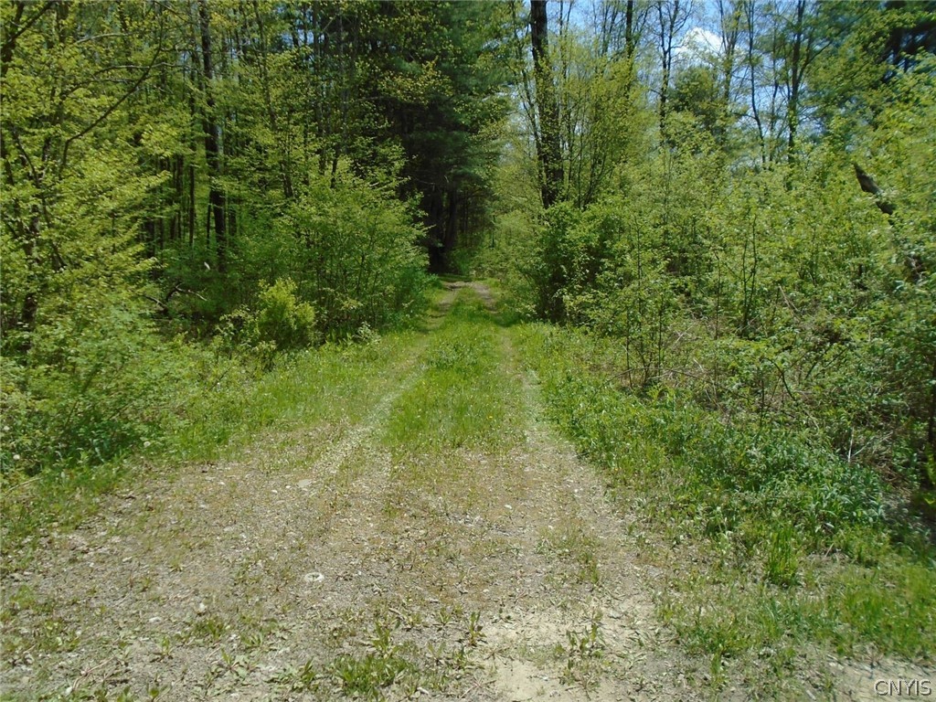 Lot 3 Willet Line Road McDonough, NY 13801 - Photo 1 of 1 Gallery Image 1