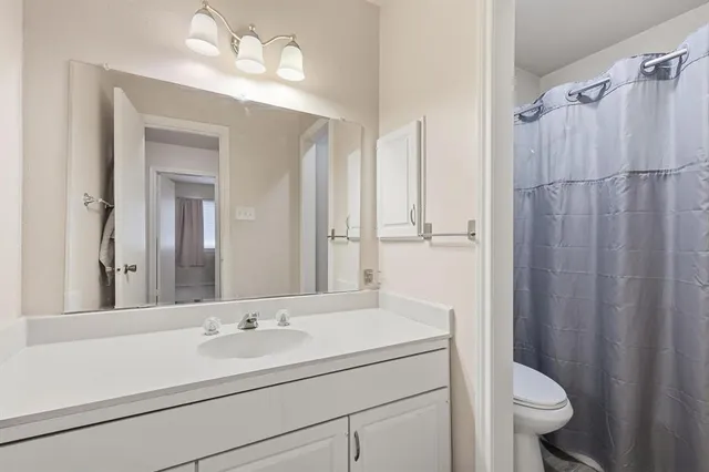 a bathroom with a sink a toilet a mirror a vanity and shower view