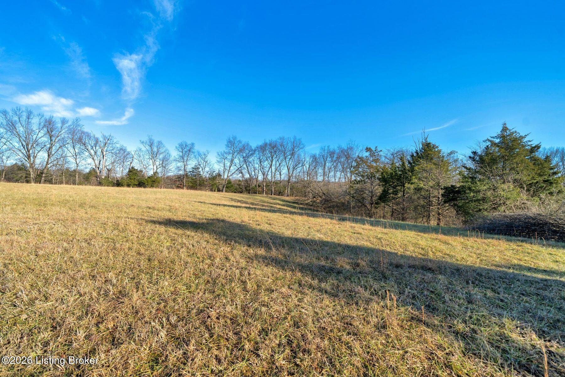 1 Brush Run Road Louisville, KY 40299 - Photo 17 of 23 photo_online_016