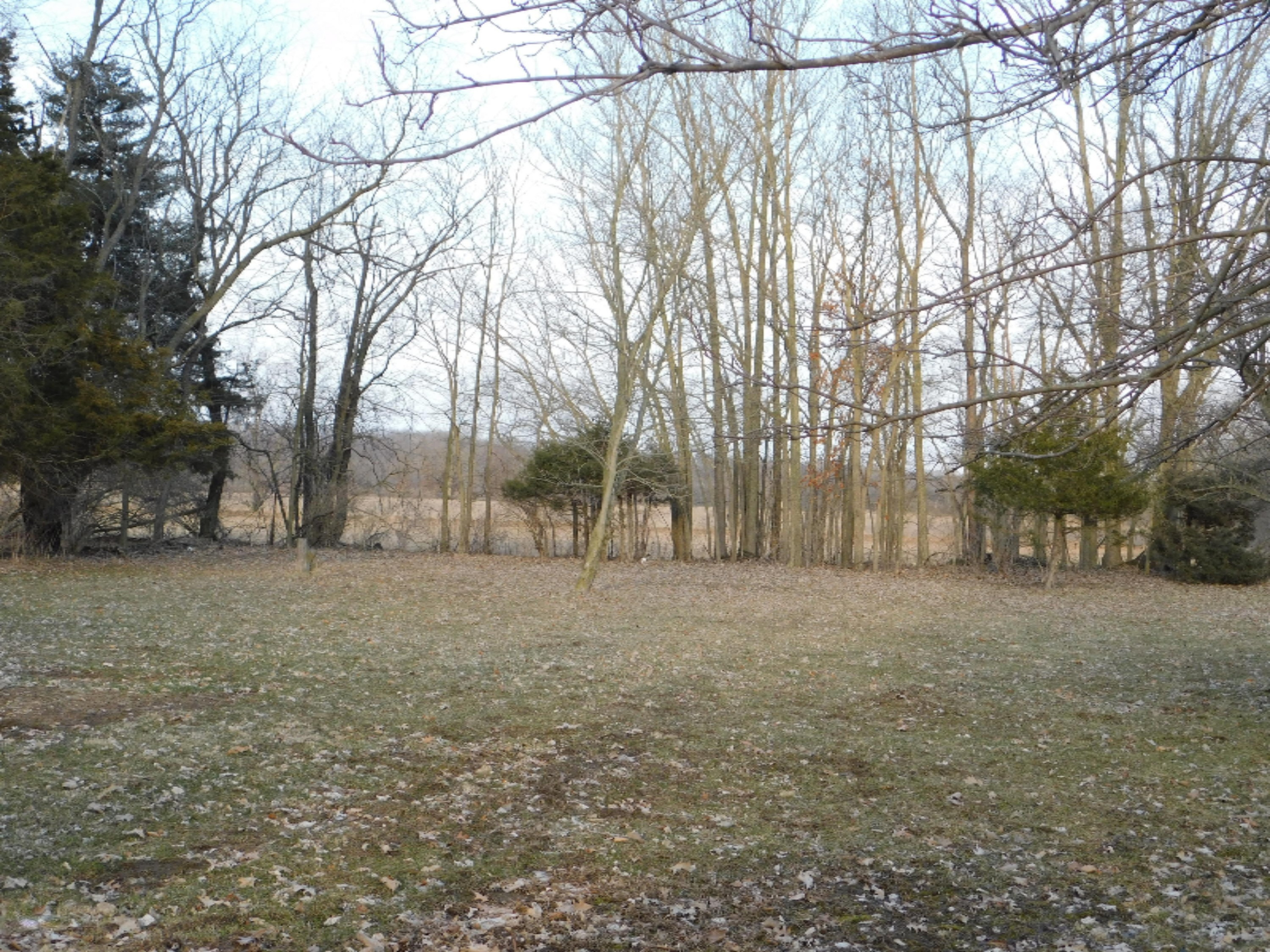 8255 Peckins Road Lyons, MI 48851 - Photo 31 of 37 DSCN9602