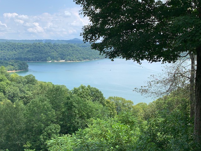 323 Cosby Parris Road Byrdstown, TN 38549 - Photo 24 of 28 a view of a lake from a yard