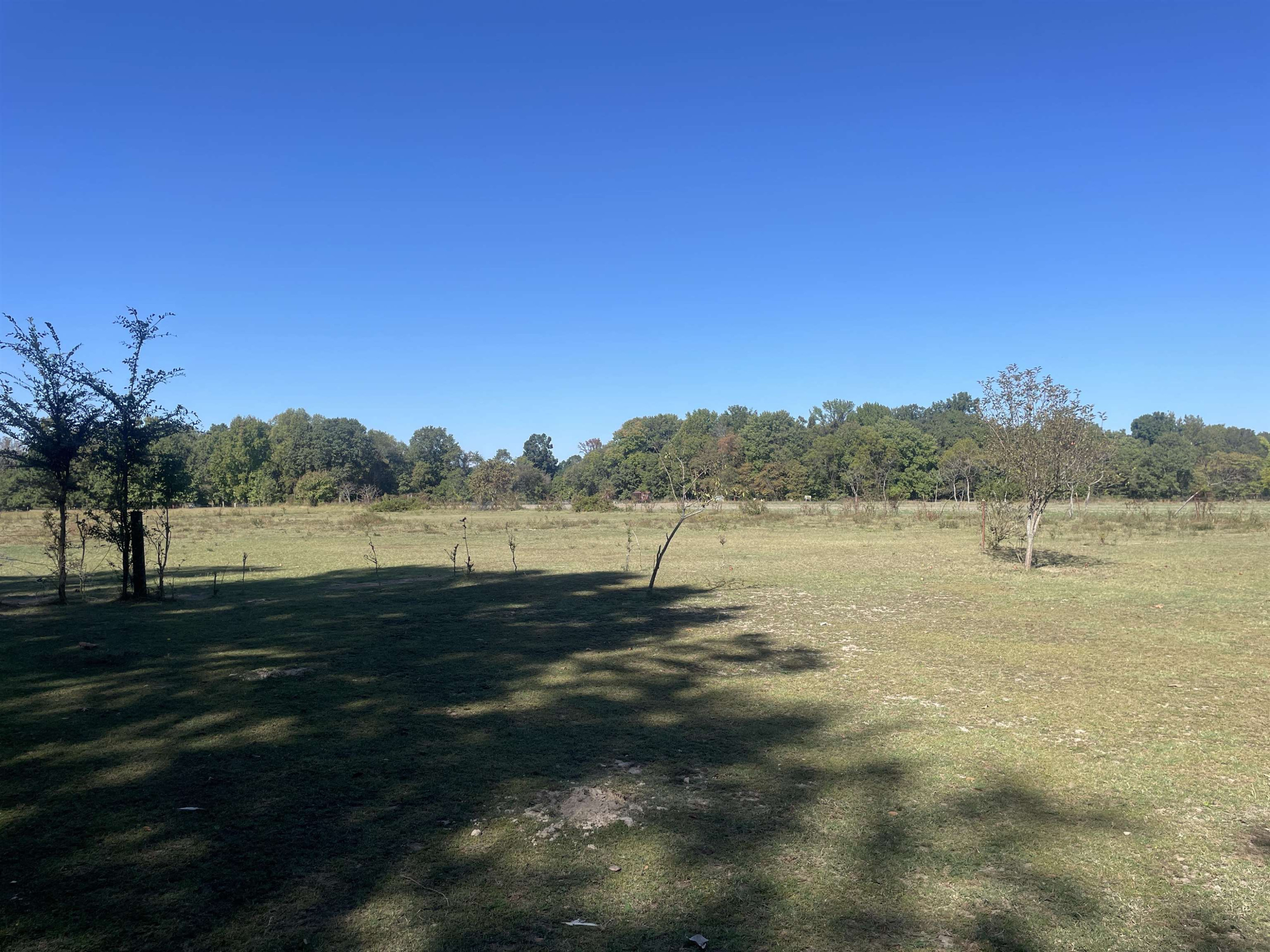1358 Joe Edwards Road Bells, TN 38006 - Photo 1 of 4 a view of lake with mountain in the background