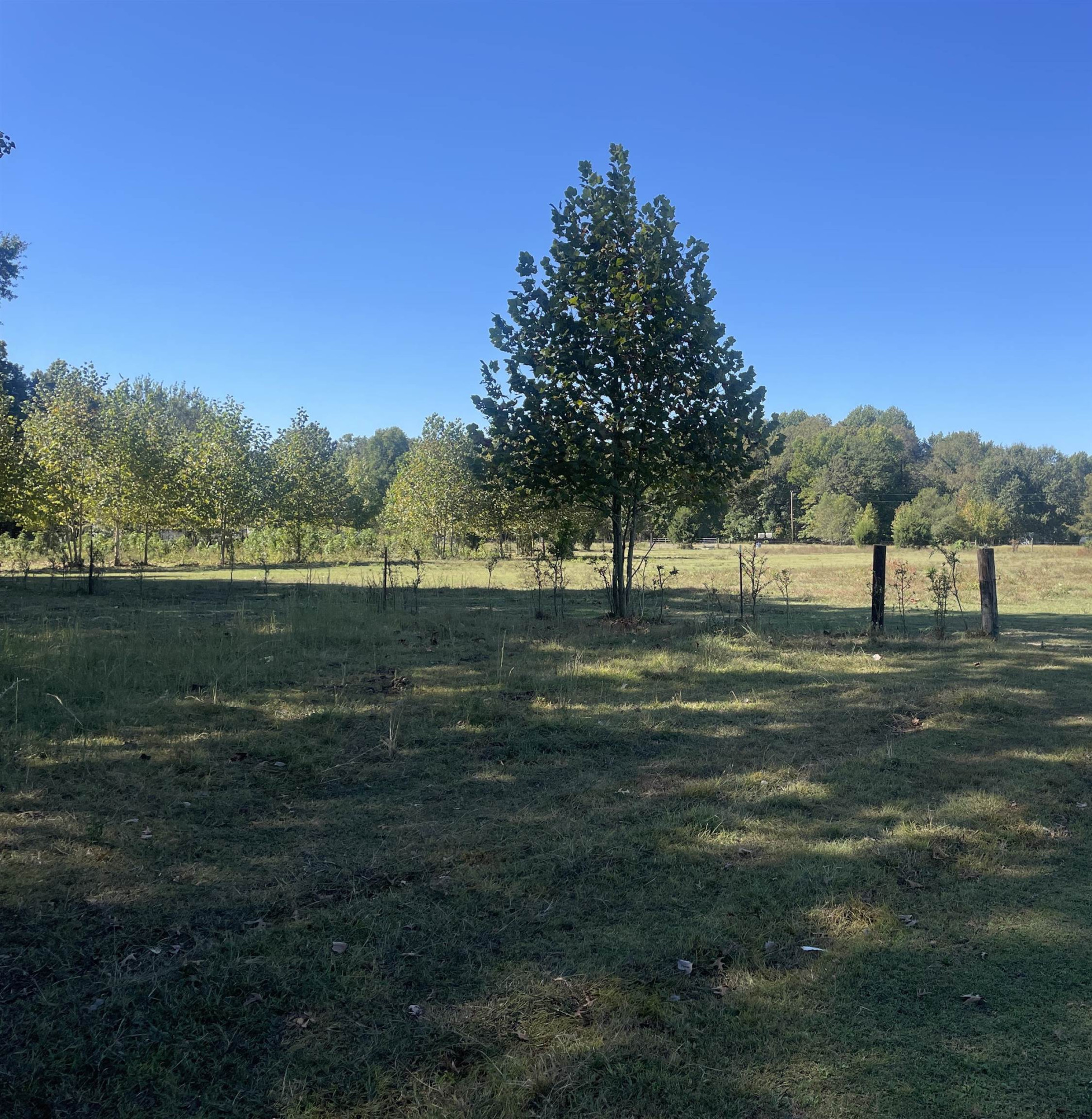 1358 Joe Edwards Road Bells, TN 38006 - Photo 2 of 4 a view of park with green space
