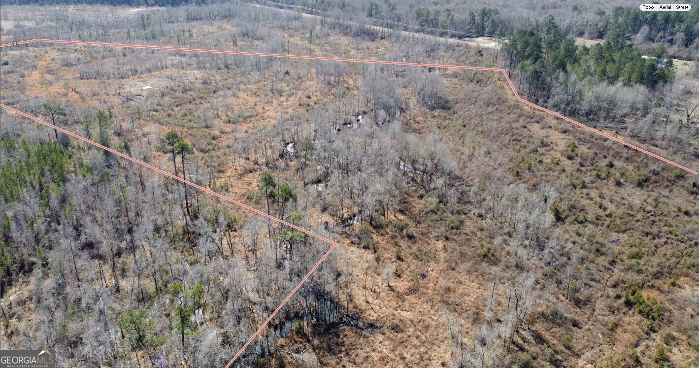 1952 Jump N Run Road Kite, GA 31049 - Photo 11 of 14 a view of a forest with large trees