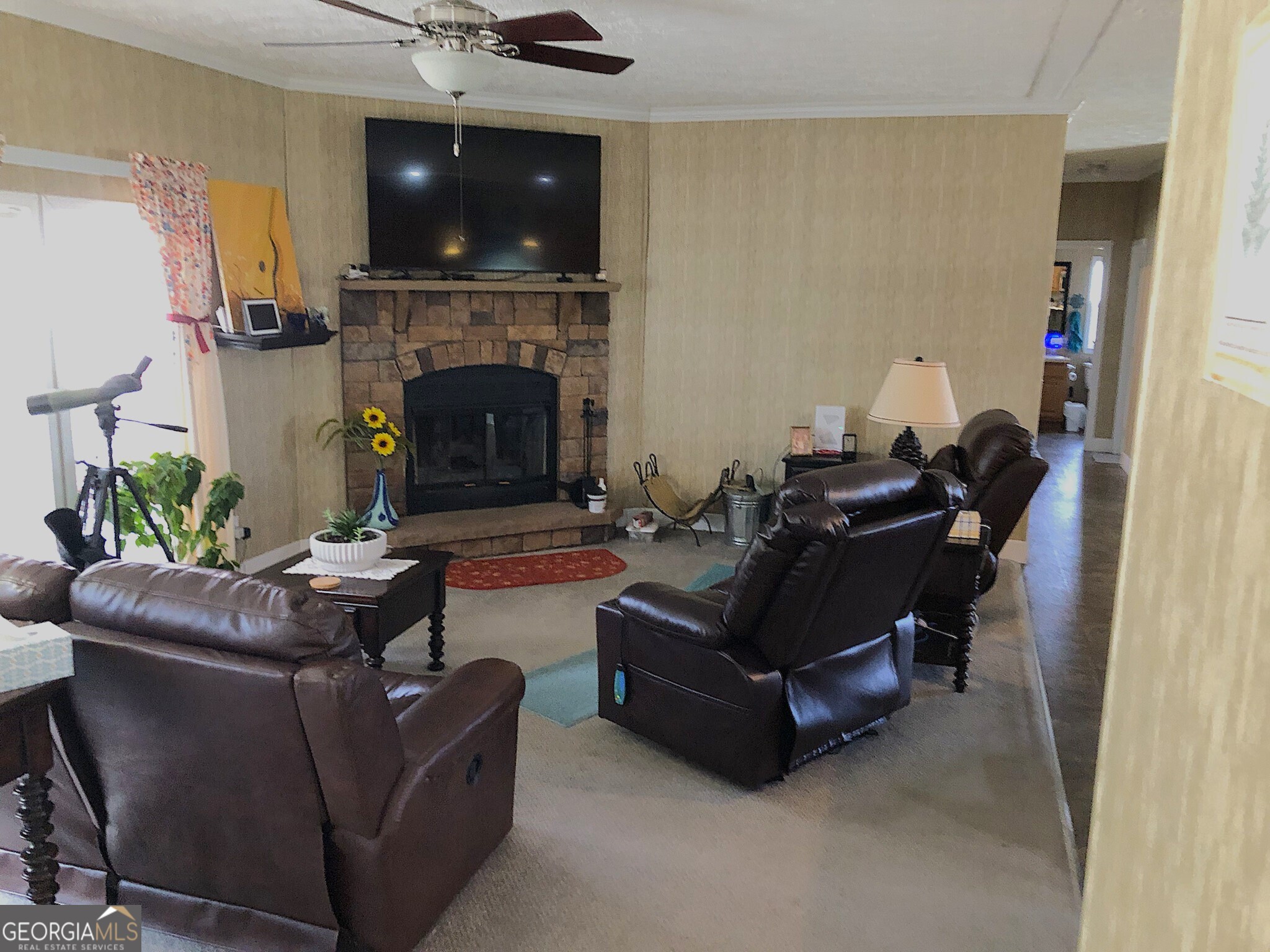 1952 Jump N Run Road Kite, GA 31049 - Photo 3 of 14 a living room with furniture a flat screen tv and a fireplace