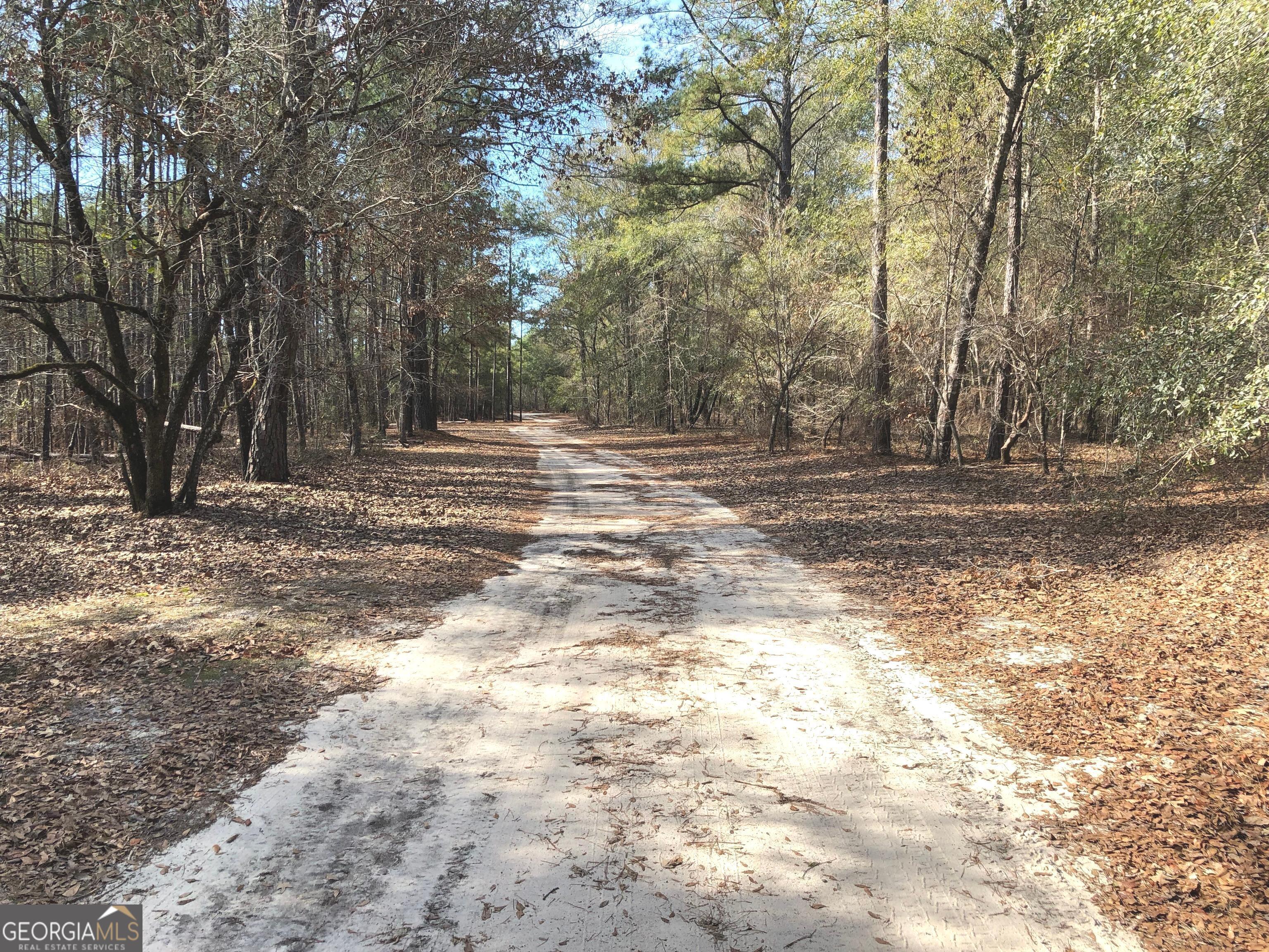 1952 Jump N Run Road Kite, GA 31049 - Photo 6 of 14 a view of a yard with trees