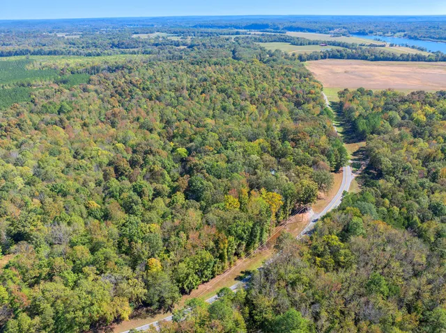 a view of a forest with a lake and mountain view