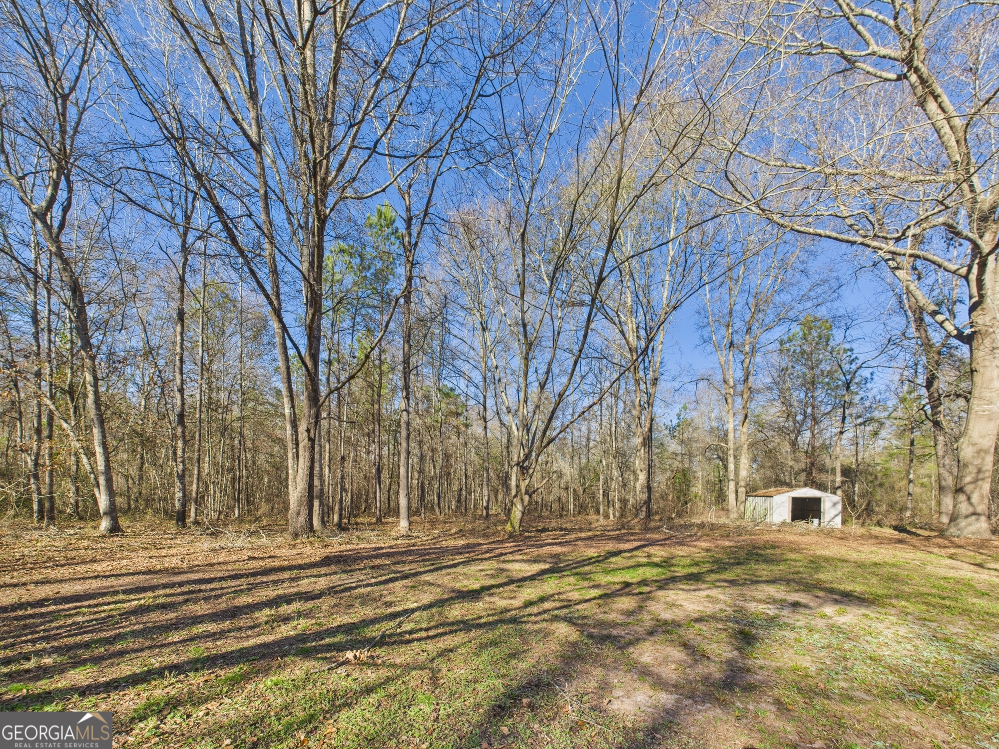 1669 Henderson Road Macon, GA 31217 - Photo 42 of 48 a view of road with trees
