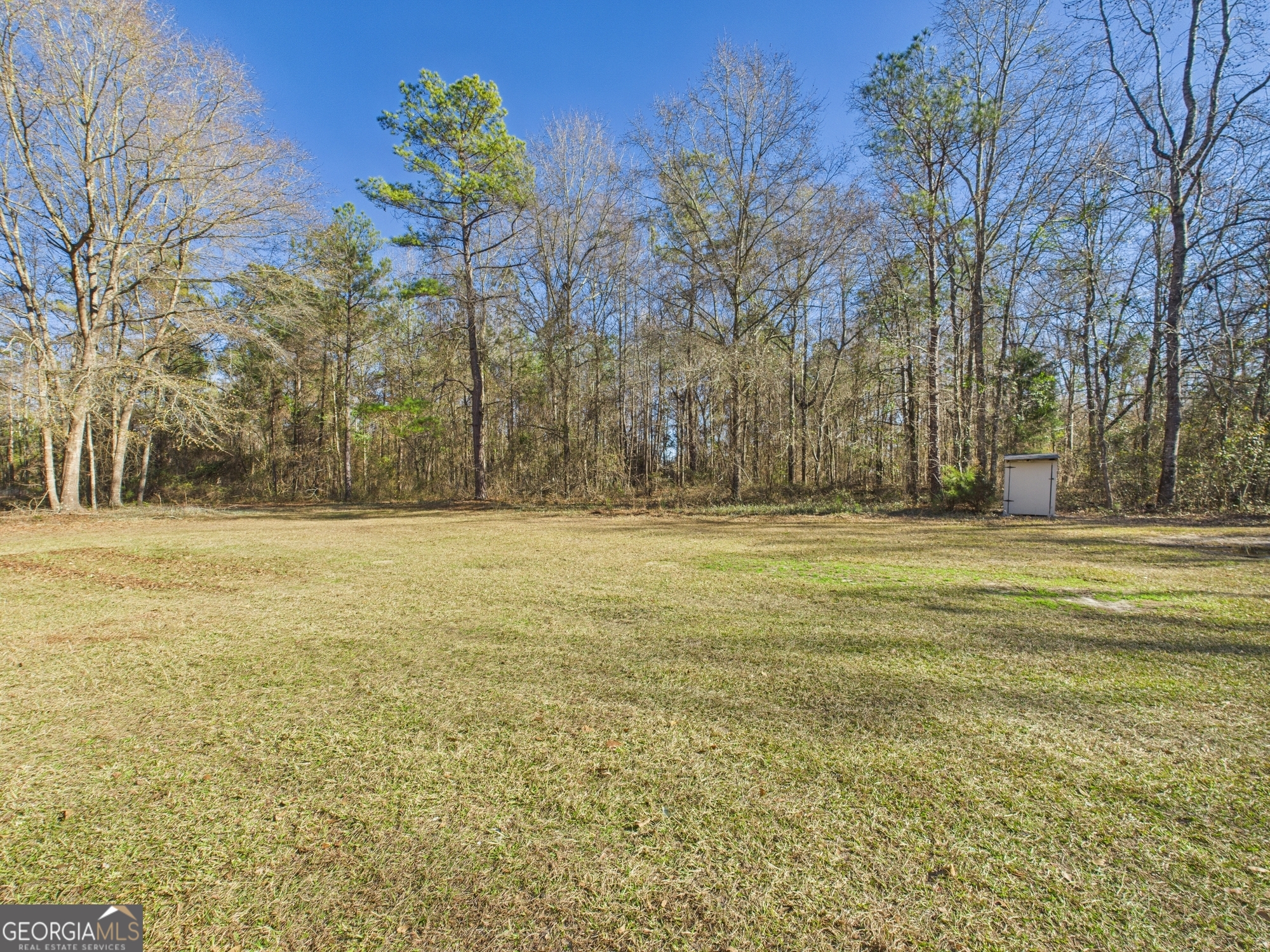 1669 Henderson Road Macon, GA 31217 - Photo 44 of 48 a view of outdoor space with trees
