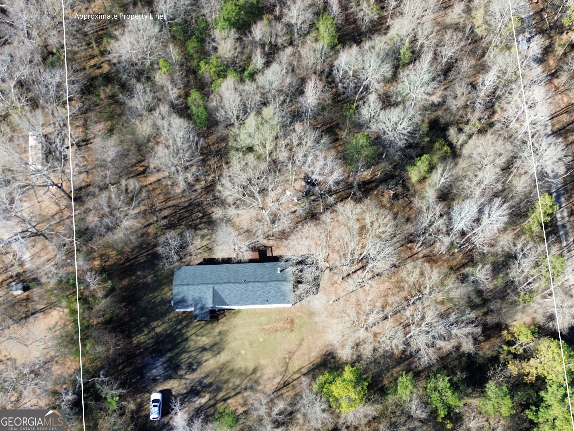 1669 Henderson Road Macon, GA 31217 - Photo 47 of 48 a view of a tree in a yard