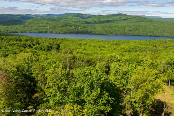 a view of a lush green field