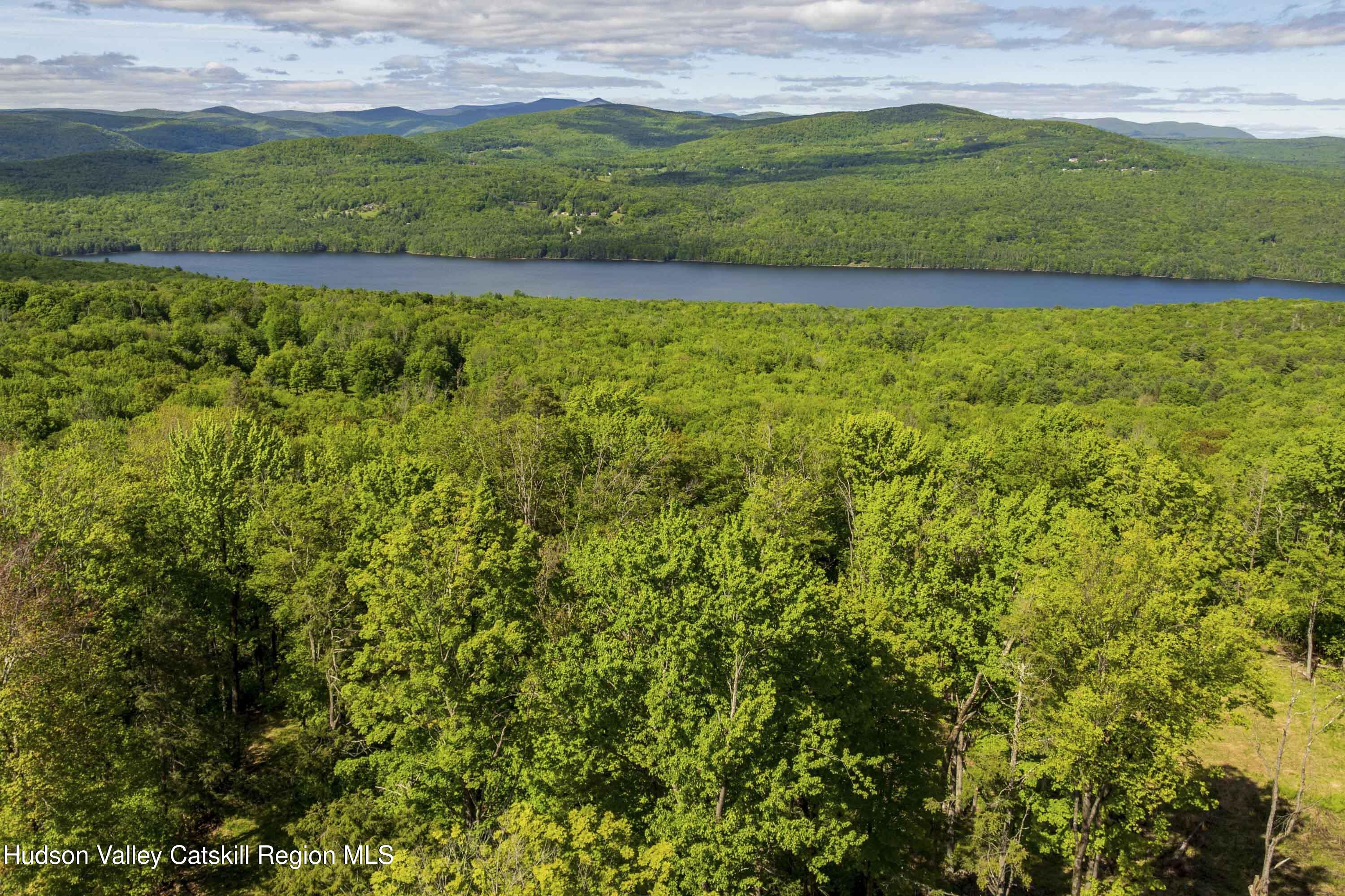 2 Red Rock Road New City, NY 10956 - Photo 2 of 13 a view of a lush green field