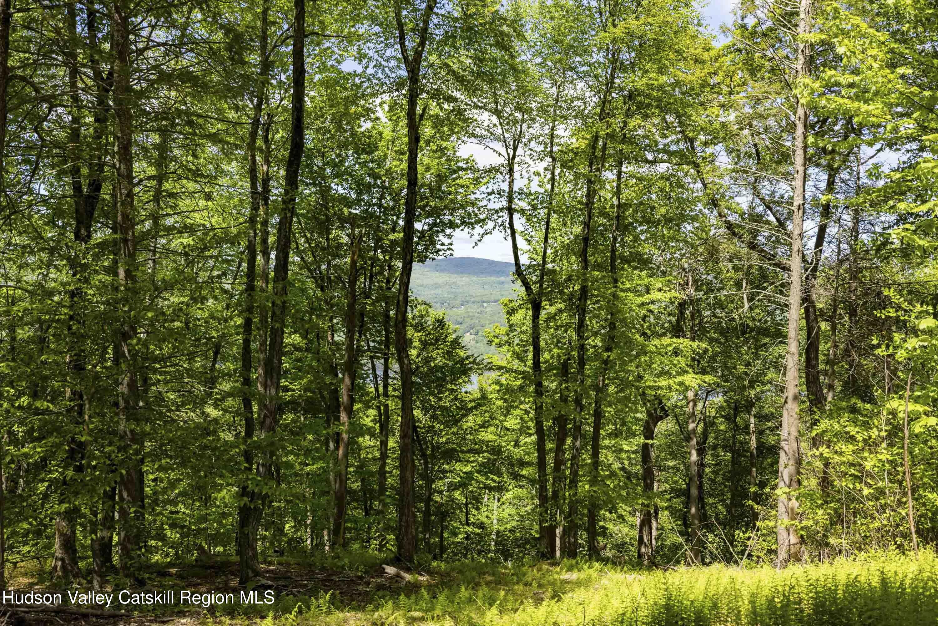 2 Red Rock Road New City, NY 10956 - Photo 3 of 13 a view of a yard