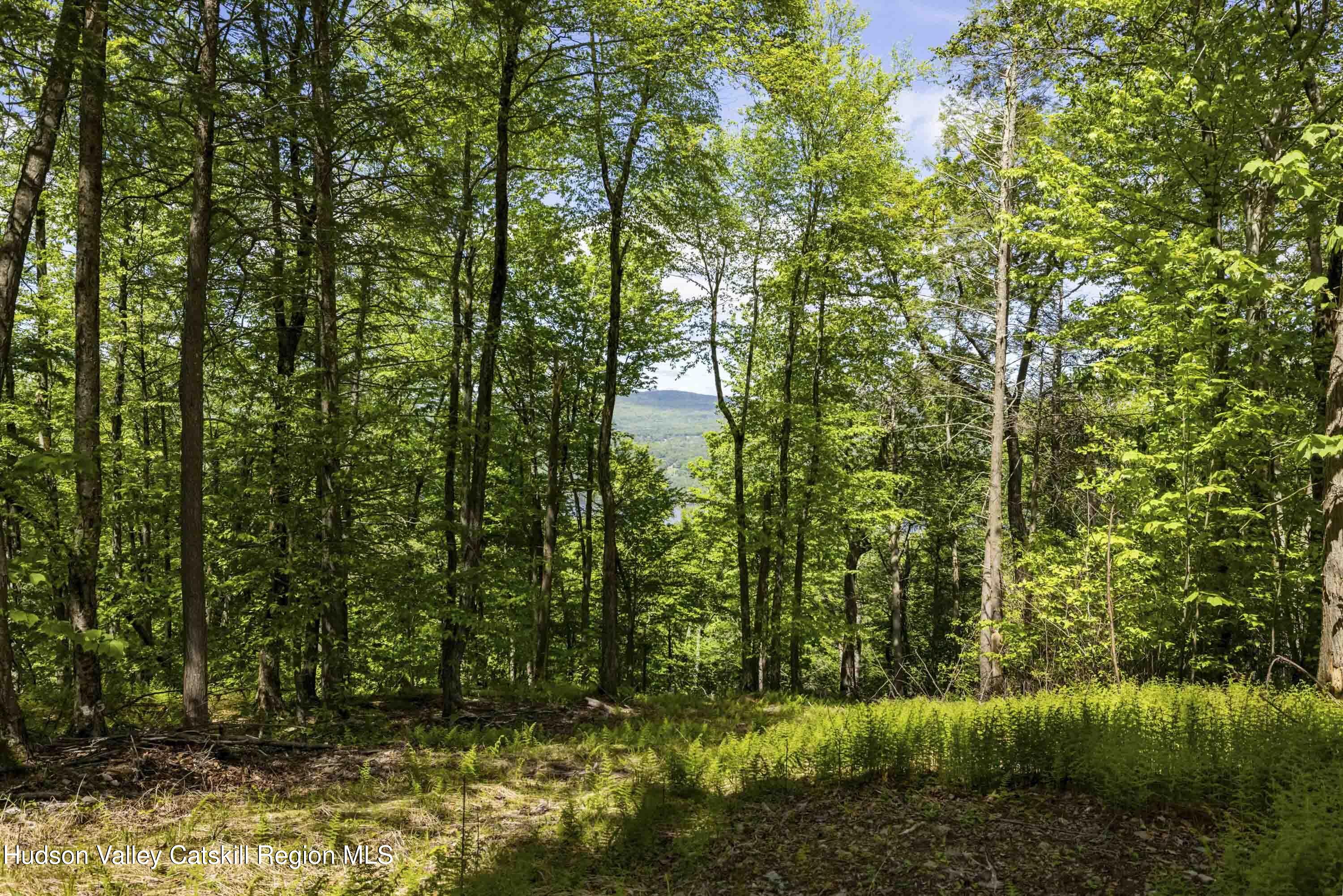 2 Red Rock Road New City, NY 10956 - Photo 5 of 13 a view of a yard
