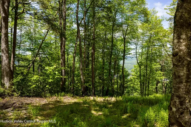 a view of outdoor space