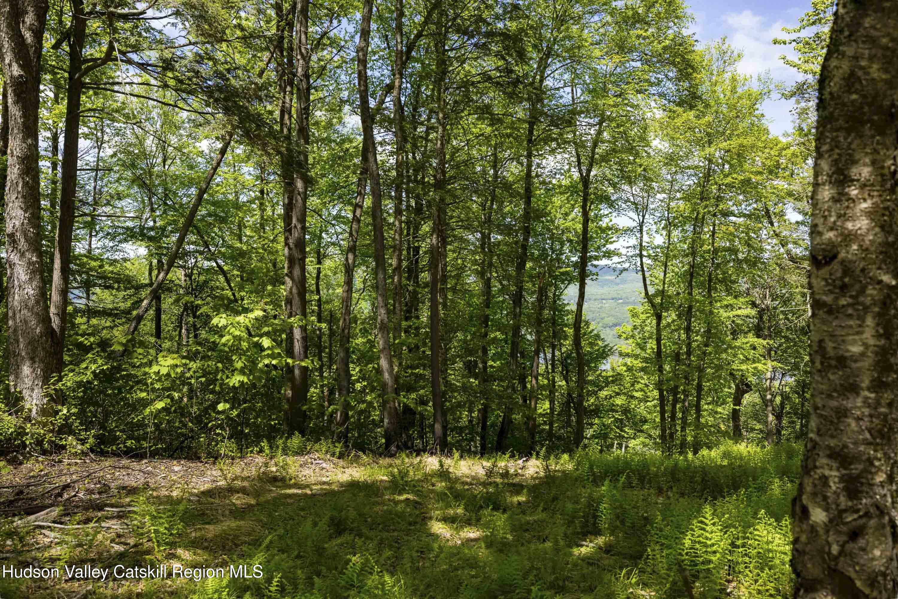 2 Red Rock Road New City, NY 10956 - Photo 6 of 13 a view of outdoor space