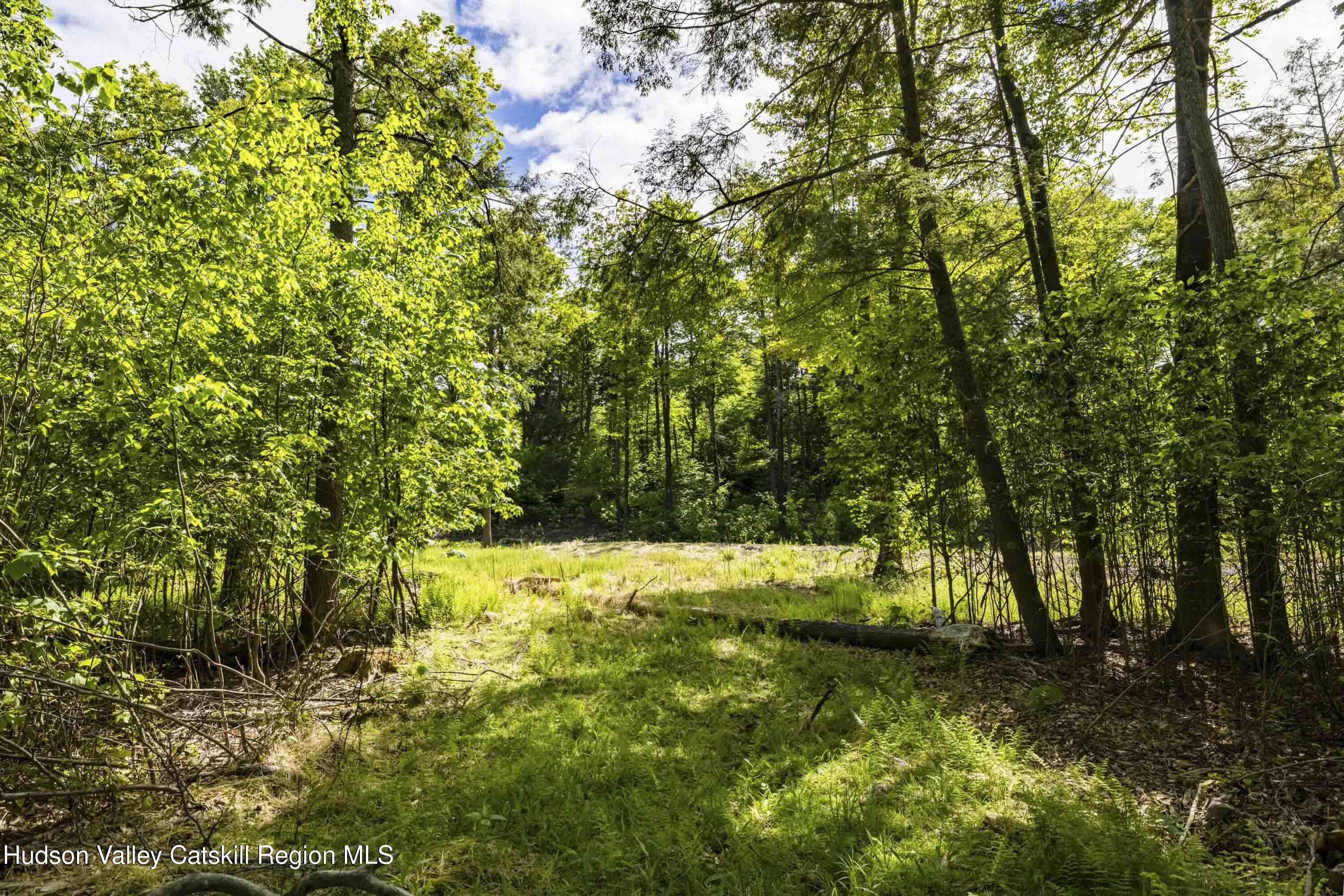 2 Red Rock Road New City, NY 10956 - Photo 7 of 13 a view of outdoor space and yard
