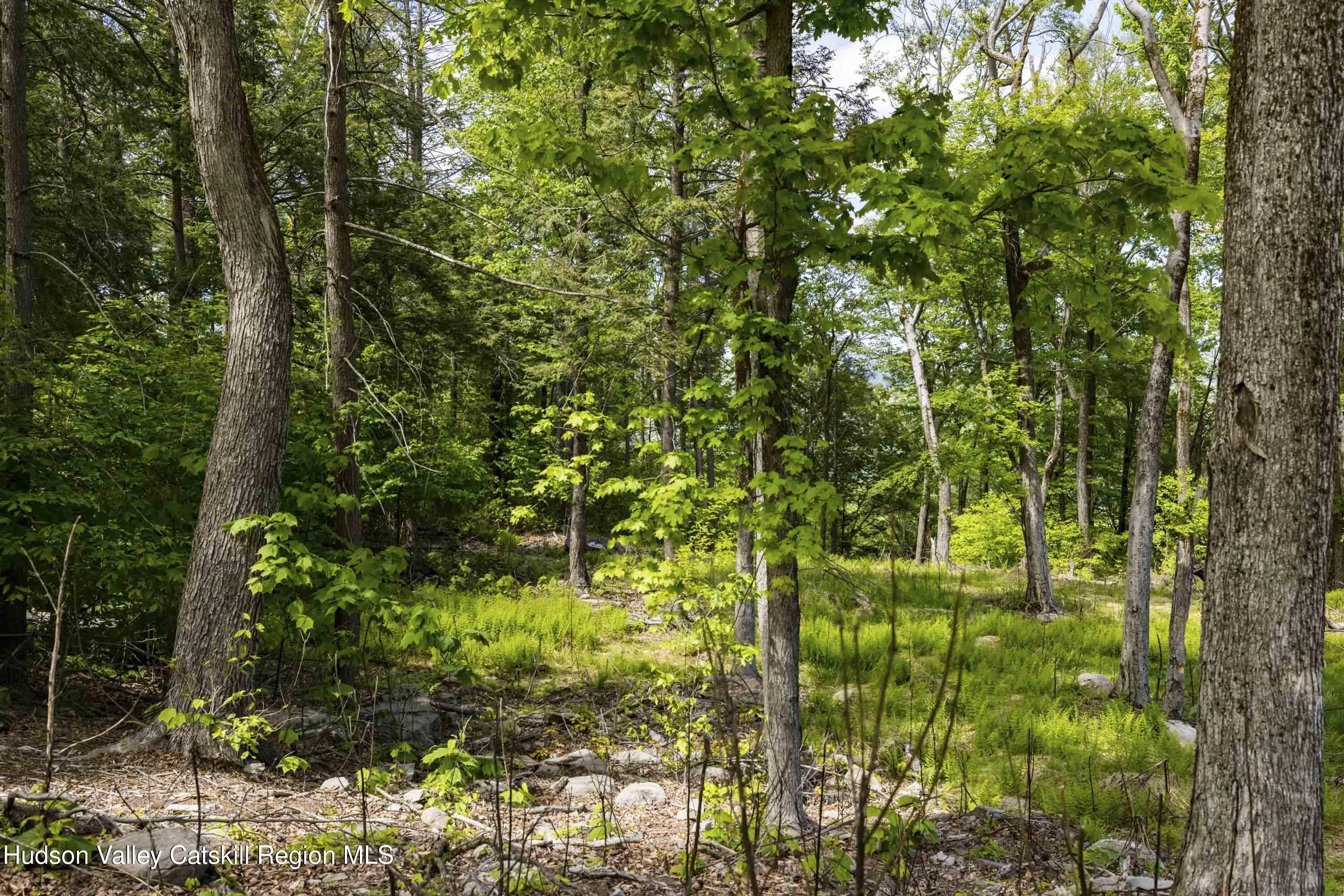 2 Red Rock Road New City, NY 10956 - Photo 8 of 13 a view of a garden