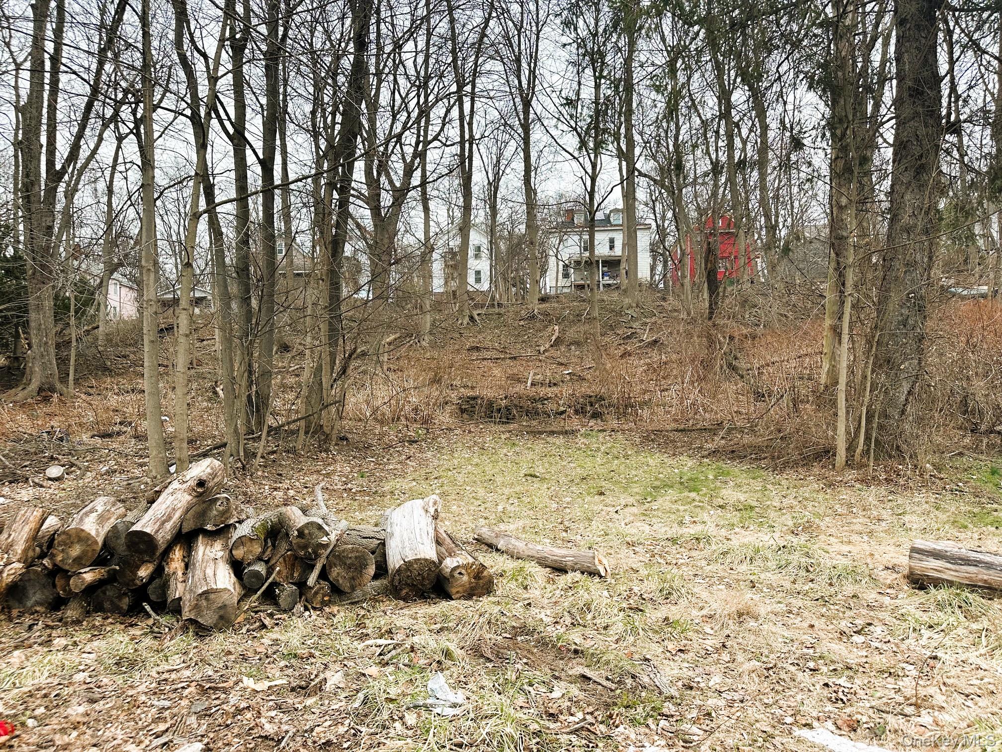 197 North Hamilton Street, Unit 2 Poughkeepsie, NY 12601 - Photo 12 of 12 Small yard