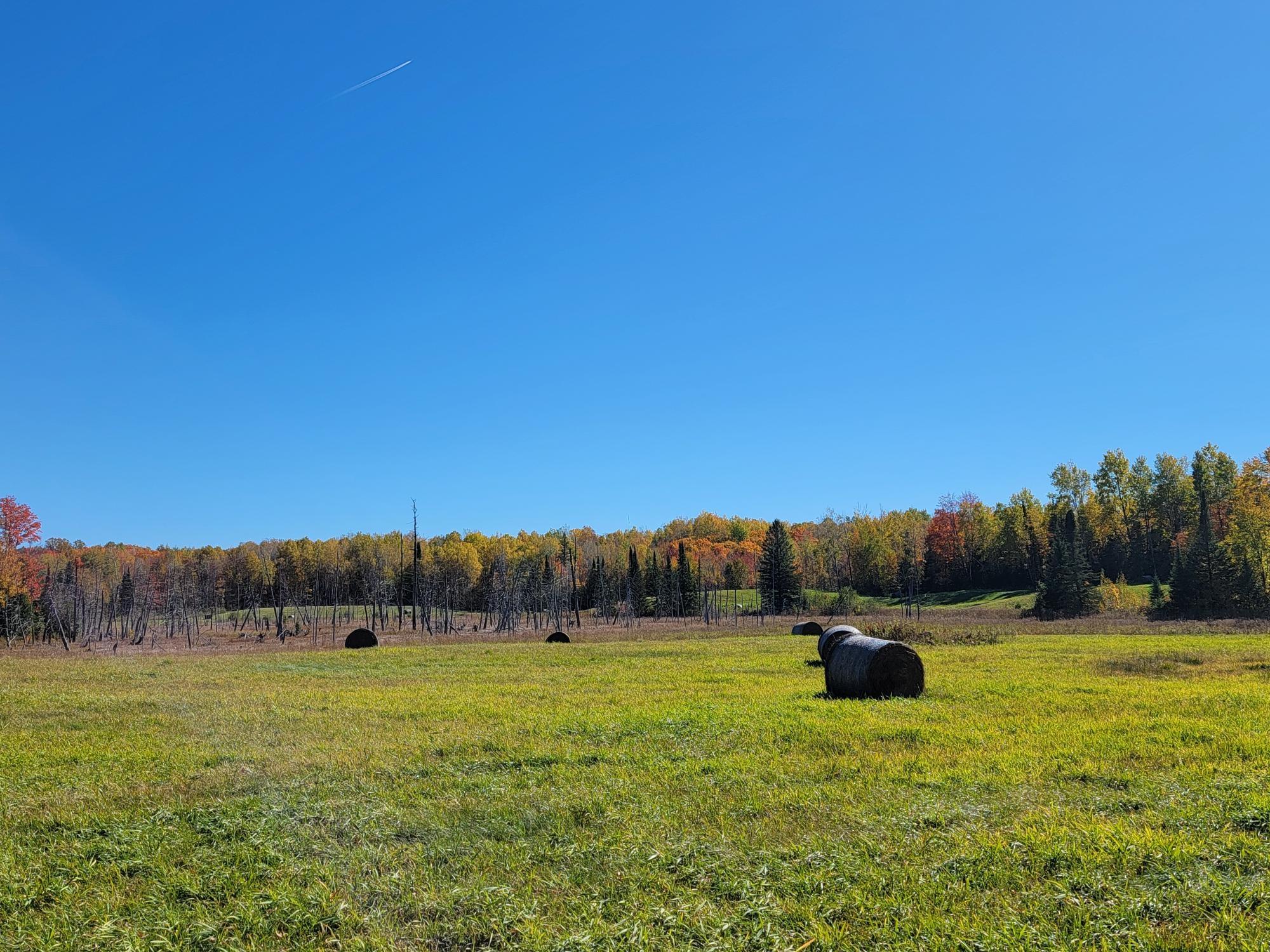 63999 Wolanek Road, Unit 313 ACRES Marengo, WI 54855 - Photo 74 of 93
