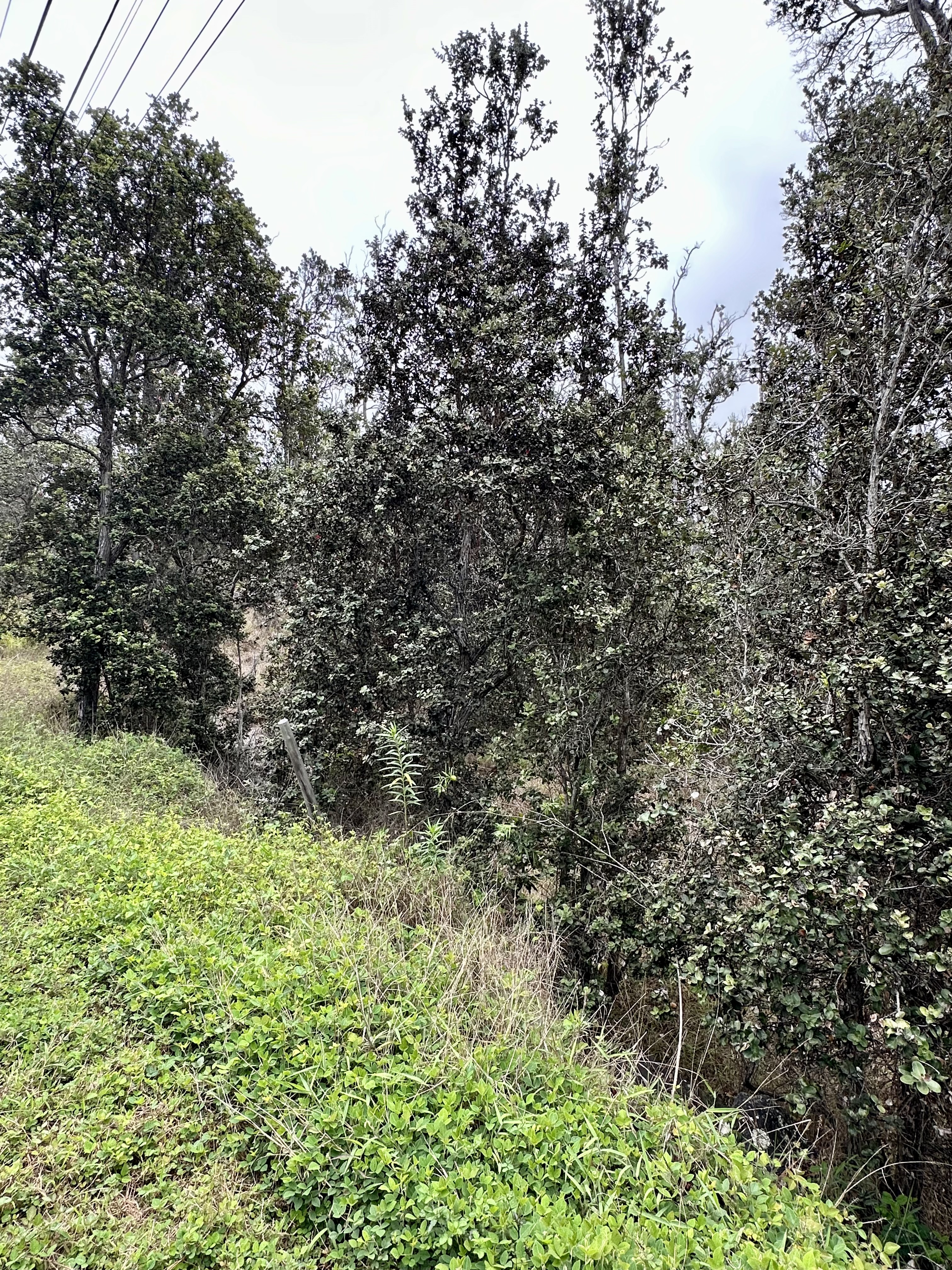 Lot 19 Reef Pkwy  