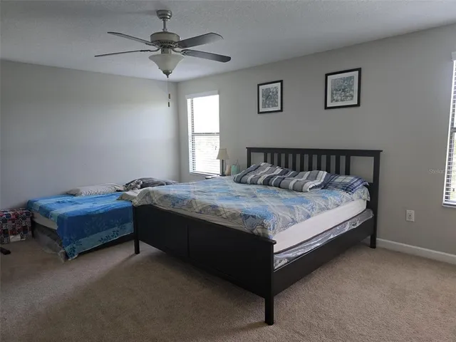 $3,600 | 4335 Mount Bandon Drive, Land O Lakes, FL 34638