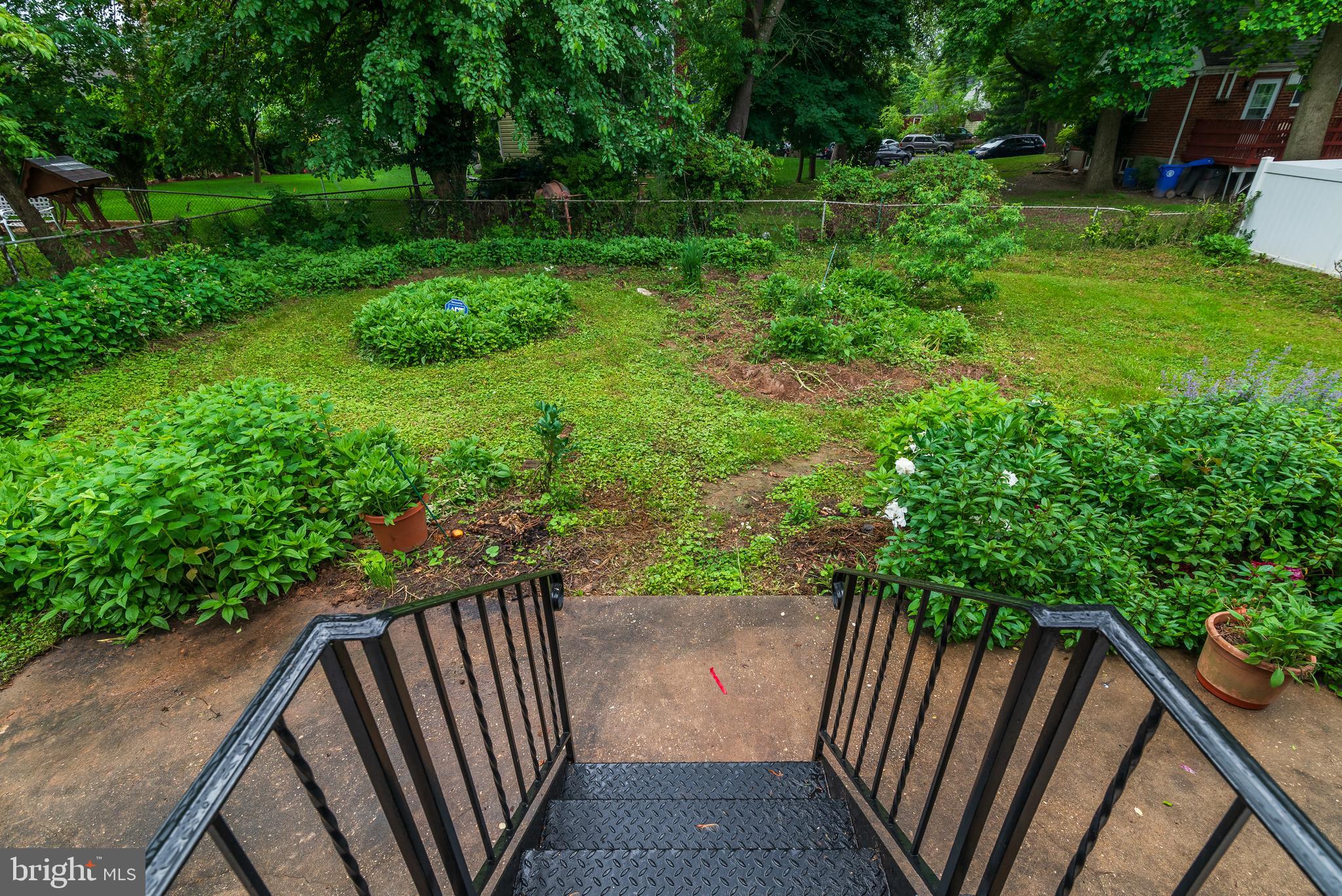 3808 Greenly Street Silver Spring, MD 20906 - Photo 42 of 52 Rear yard view from steps off kitchen.