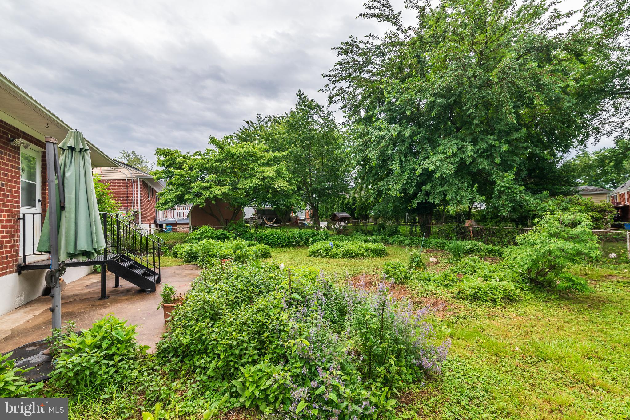 3808 Greenly Street Silver Spring, MD 20906 - Photo 49 of 52 Rear yard