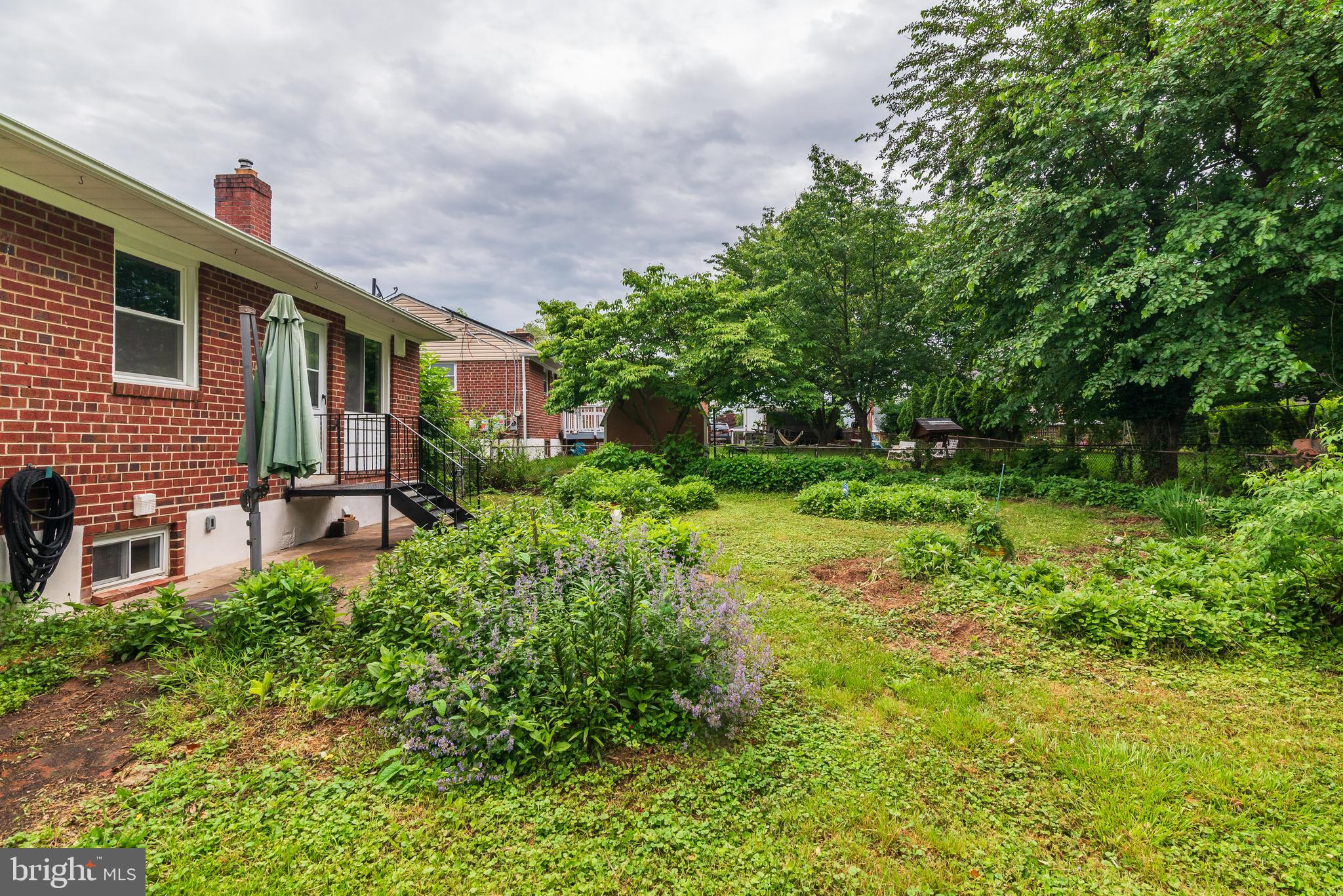 3808 Greenly Street Silver Spring, MD 20906 - Photo 50 of 52 Rear yard with partial house view