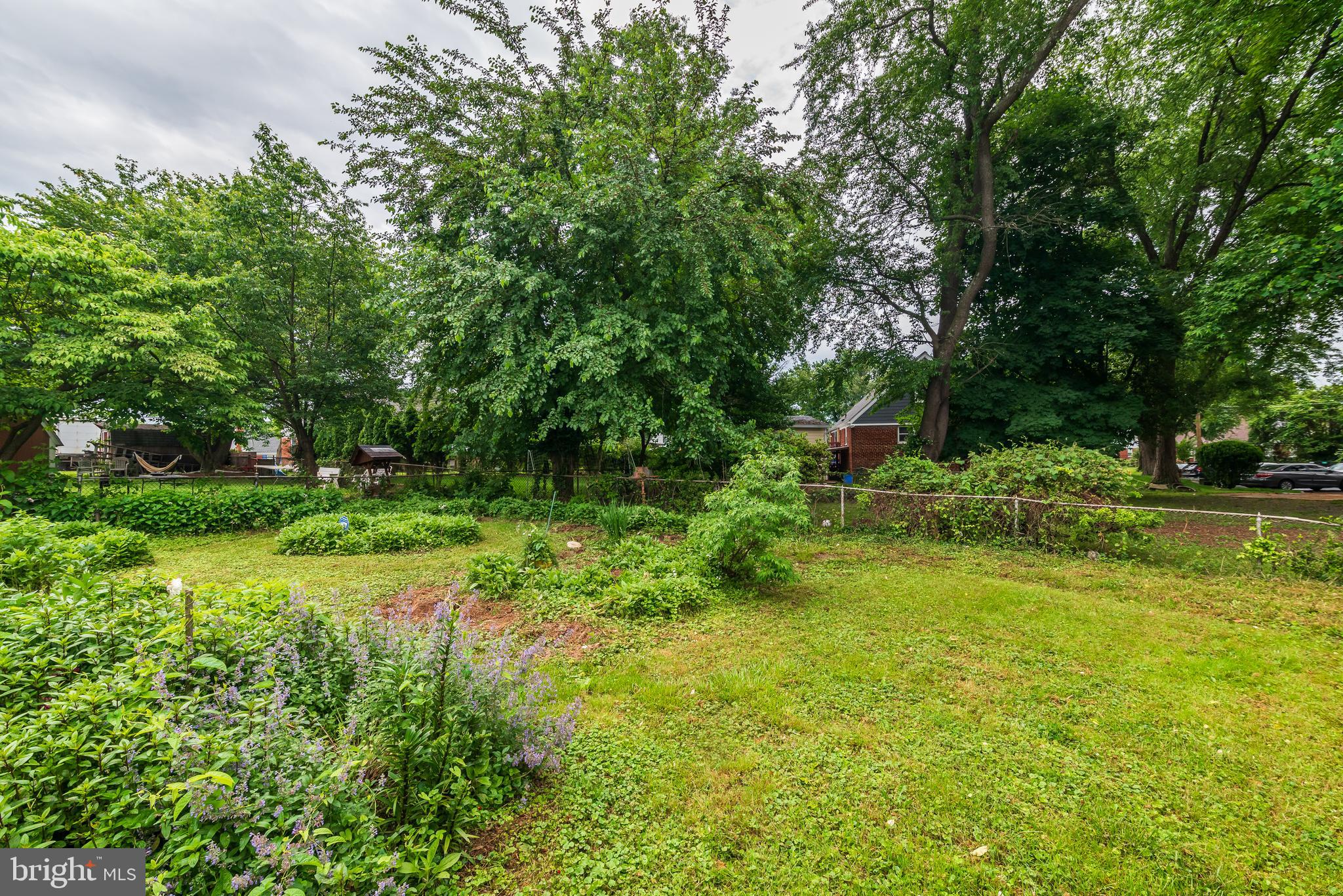 3808 Greenly Street Silver Spring, MD 20906 - Photo 51 of 52 Rear yard