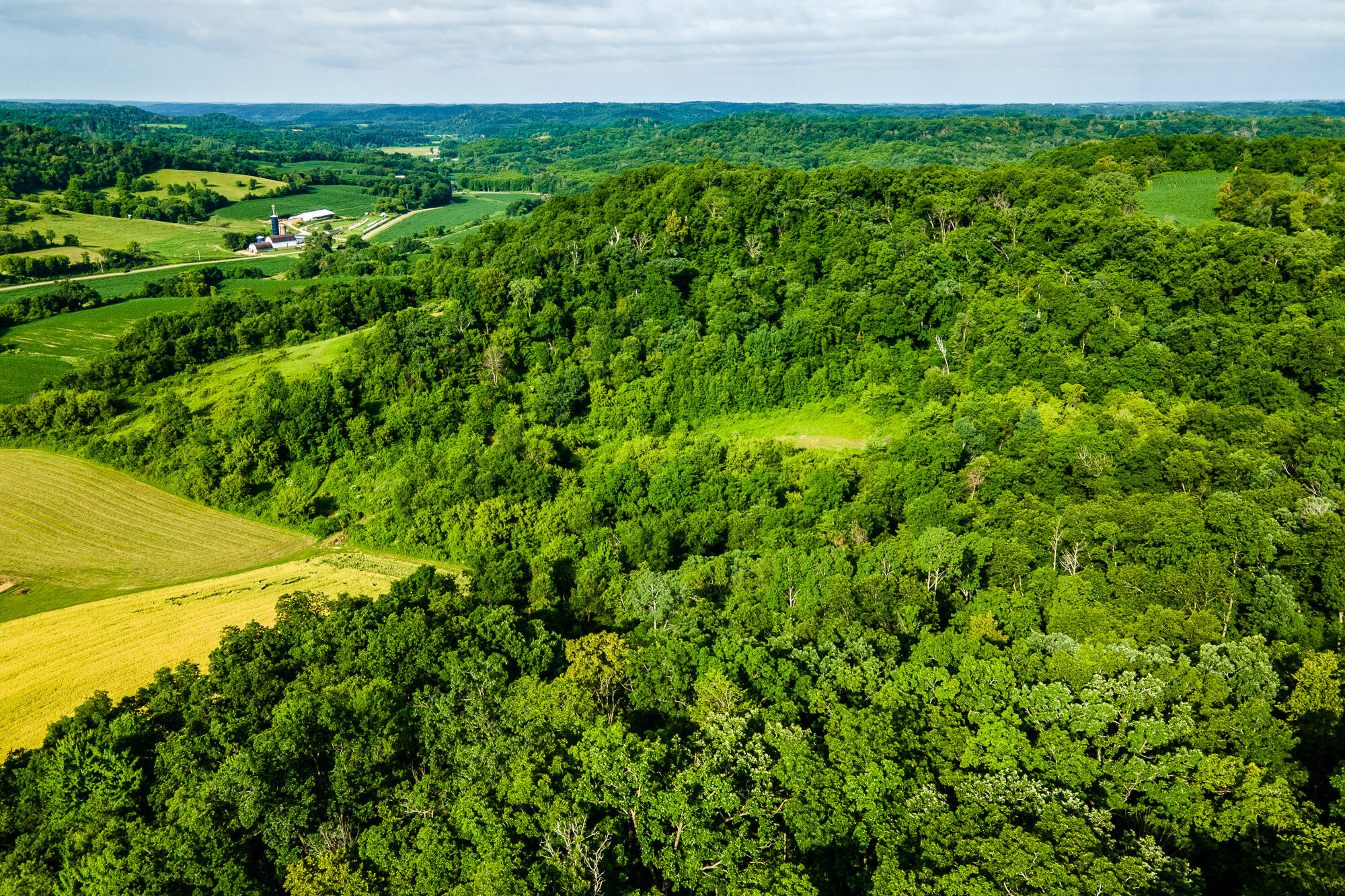 Lt0 Smyth Hollow Road Hillpoint, WI 53937 - Photo 2 of 45 Richland-County-WI-61-Acres-Land-For-Sal