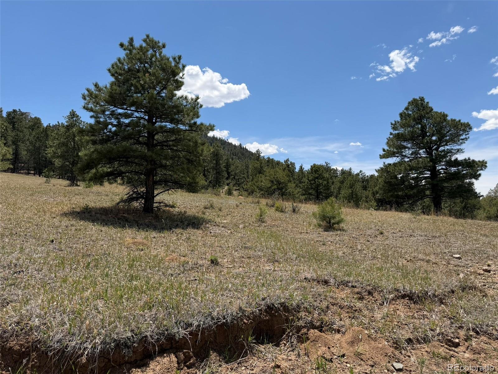 477 Bear Peak Road Westcliffe, CO 81252 - Photo 37 of 39