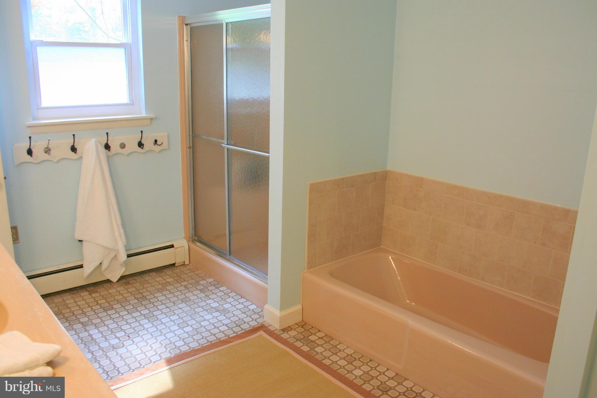2901 Stockton Road Phoenix, MD 21131 - Photo 14 of 29 a bathroom with a bath tub and a shower