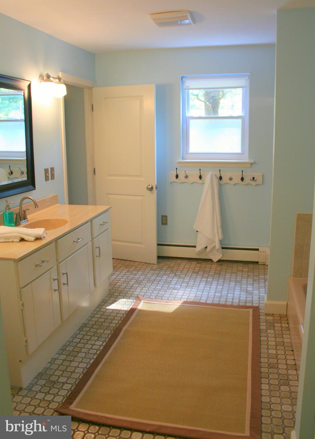 2901 Stockton Road Phoenix, MD 21131 - Photo 15 of 29 a bathroom with a sink a mirror and a shower