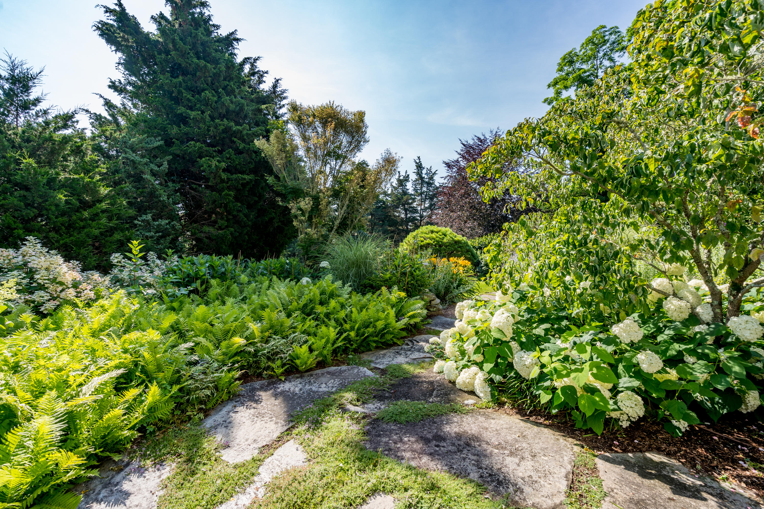 268 Elm Road Falmouth, MA 02540 - Photo 21 of 29 a view of a garden with plants