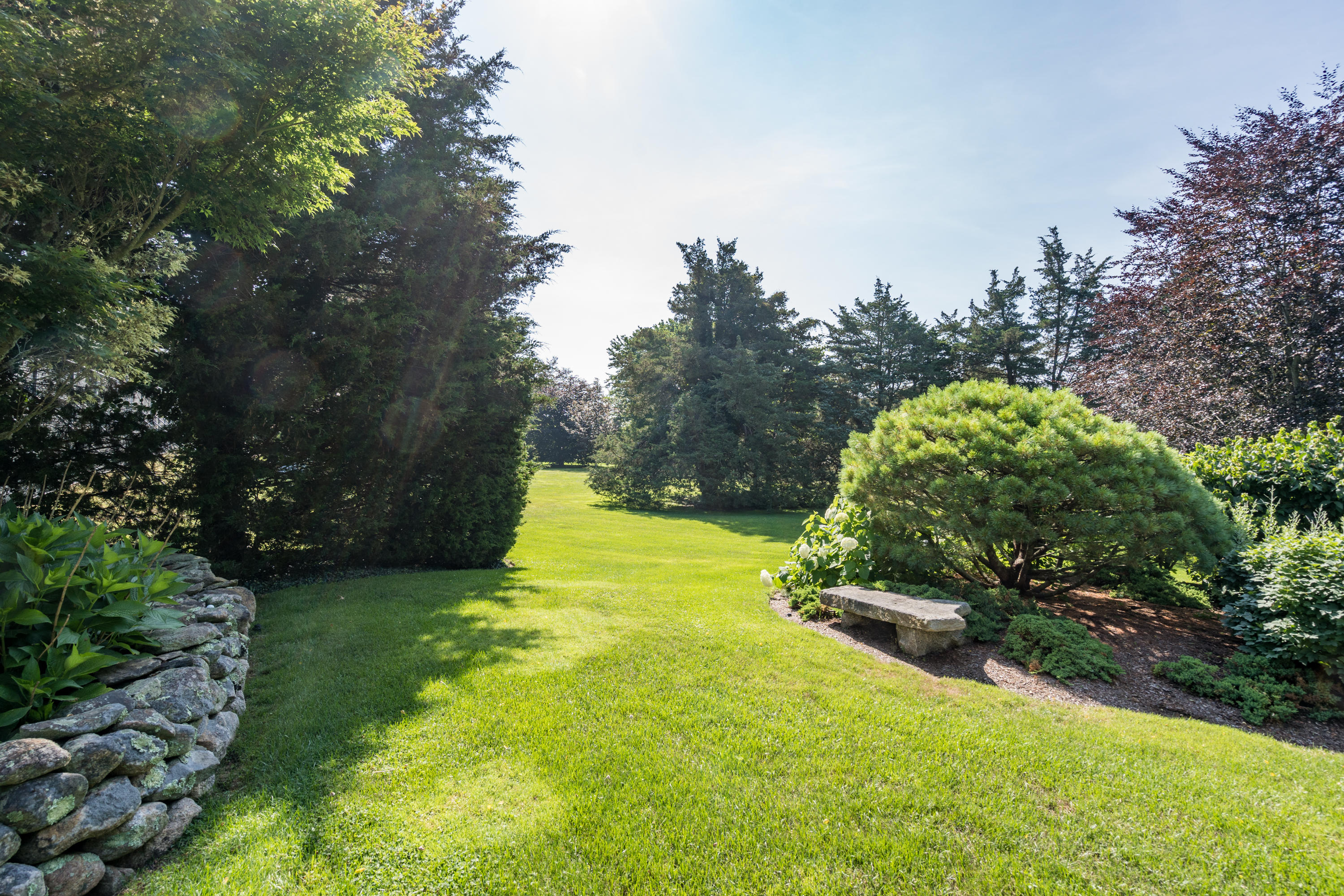 268 Elm Road Falmouth, MA 02540 - Photo 23 of 29 a view of a garden with large trees