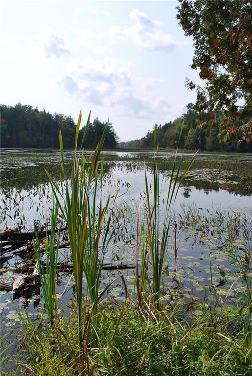 76 Ordway Road Sangerville, ME 04479 - Photo 11 of 30 Photo