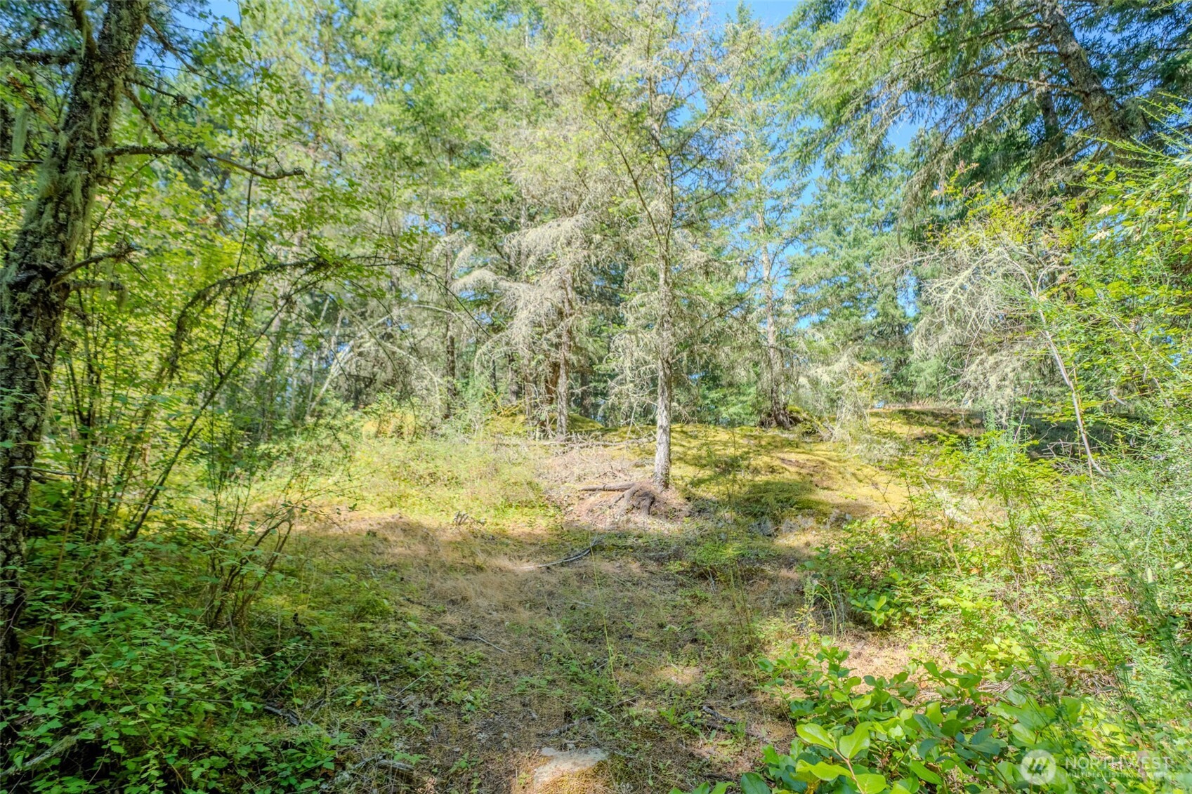678 Swan Road Orcas Island, WA 98245 - Photo 10 of 39
