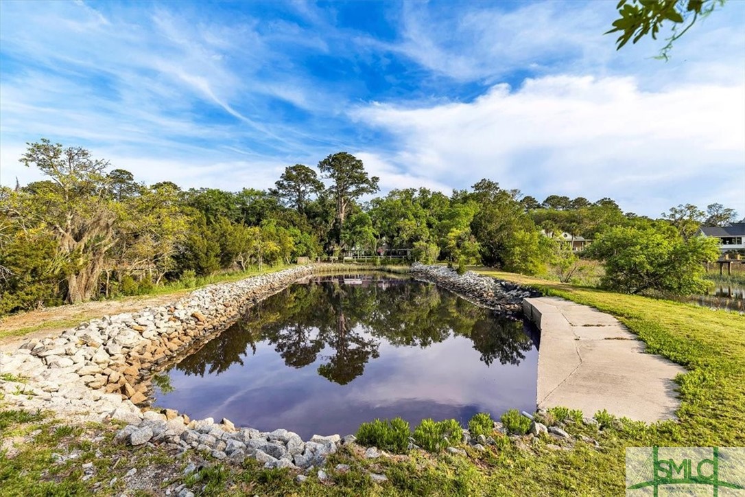 41 Cardinal Road Savannah, GA 31406 - Photo 36 of 50 Private saltwater pond.