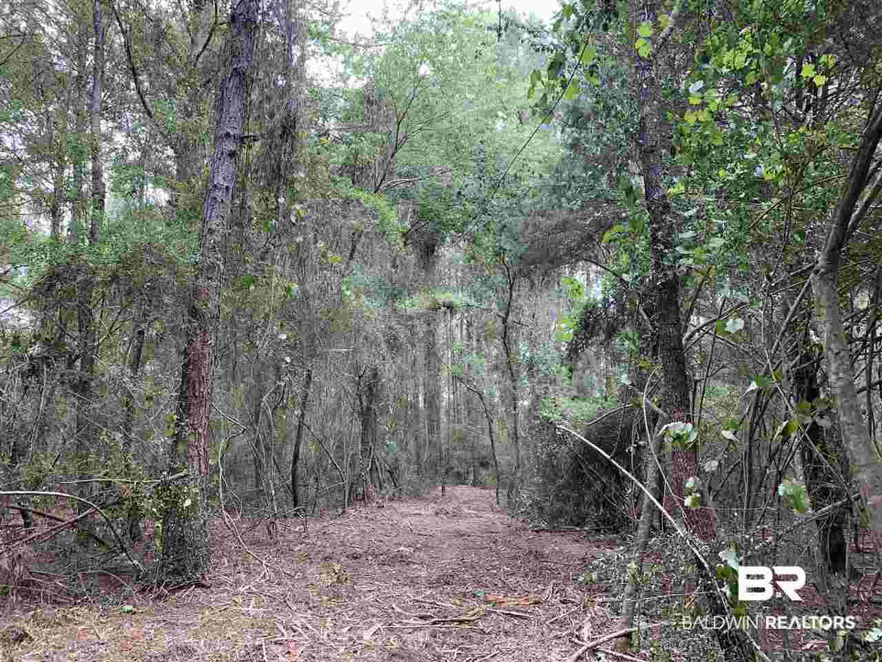 1 Sherwood Highland Road Fairhope, AL 36532 - Photo 4 of 8