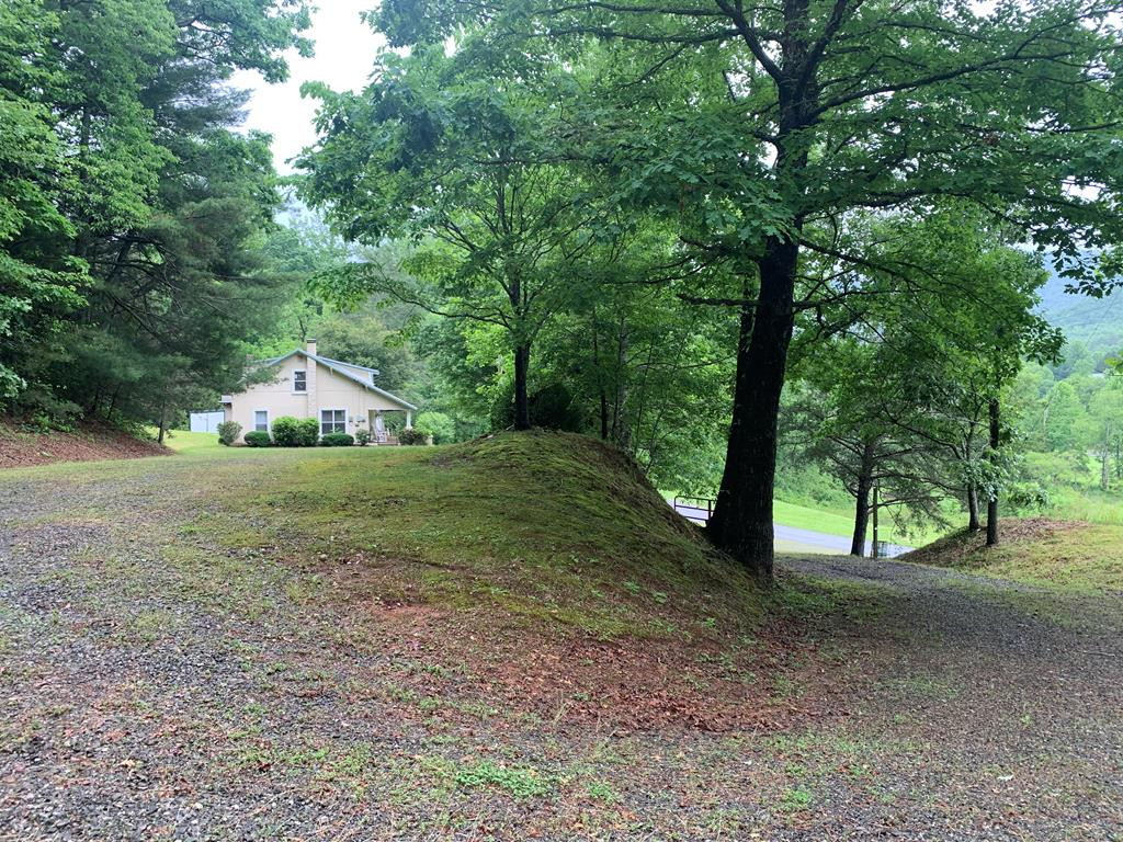 805 Bethabara Road Hayesville, NC 28904 - Photo 7 of 21