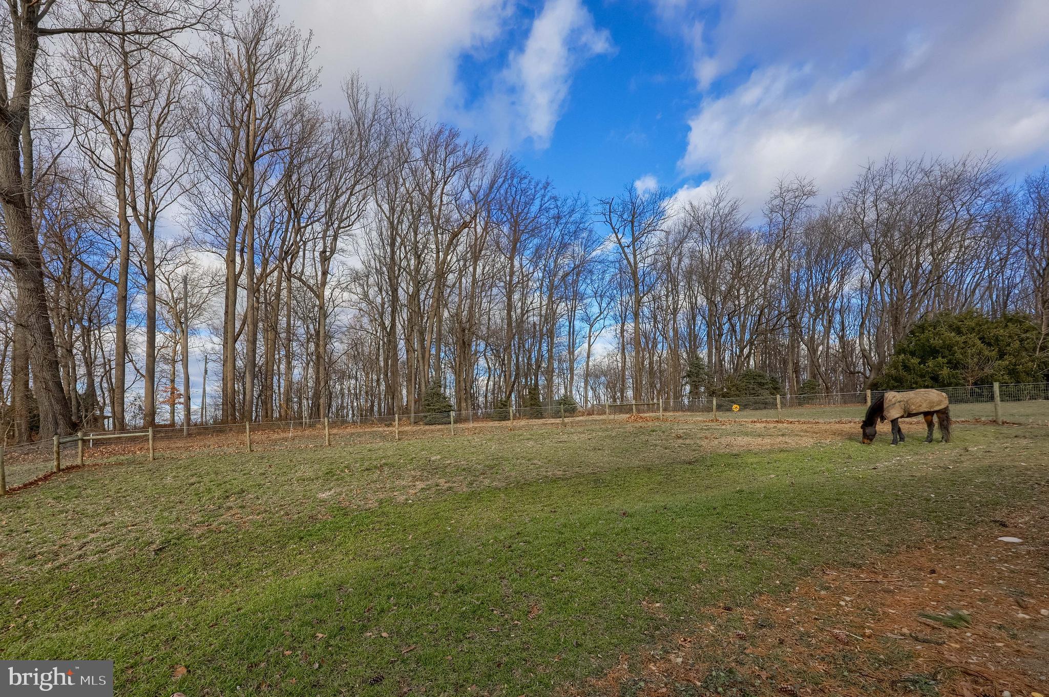 2856 Zink Road Manheim, PA 17545 - Photo 21 of 49