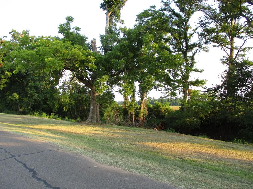 0 Lamourie Road Lecompte, LA 71346 - Photo 1 of 1 Gallery Image 1